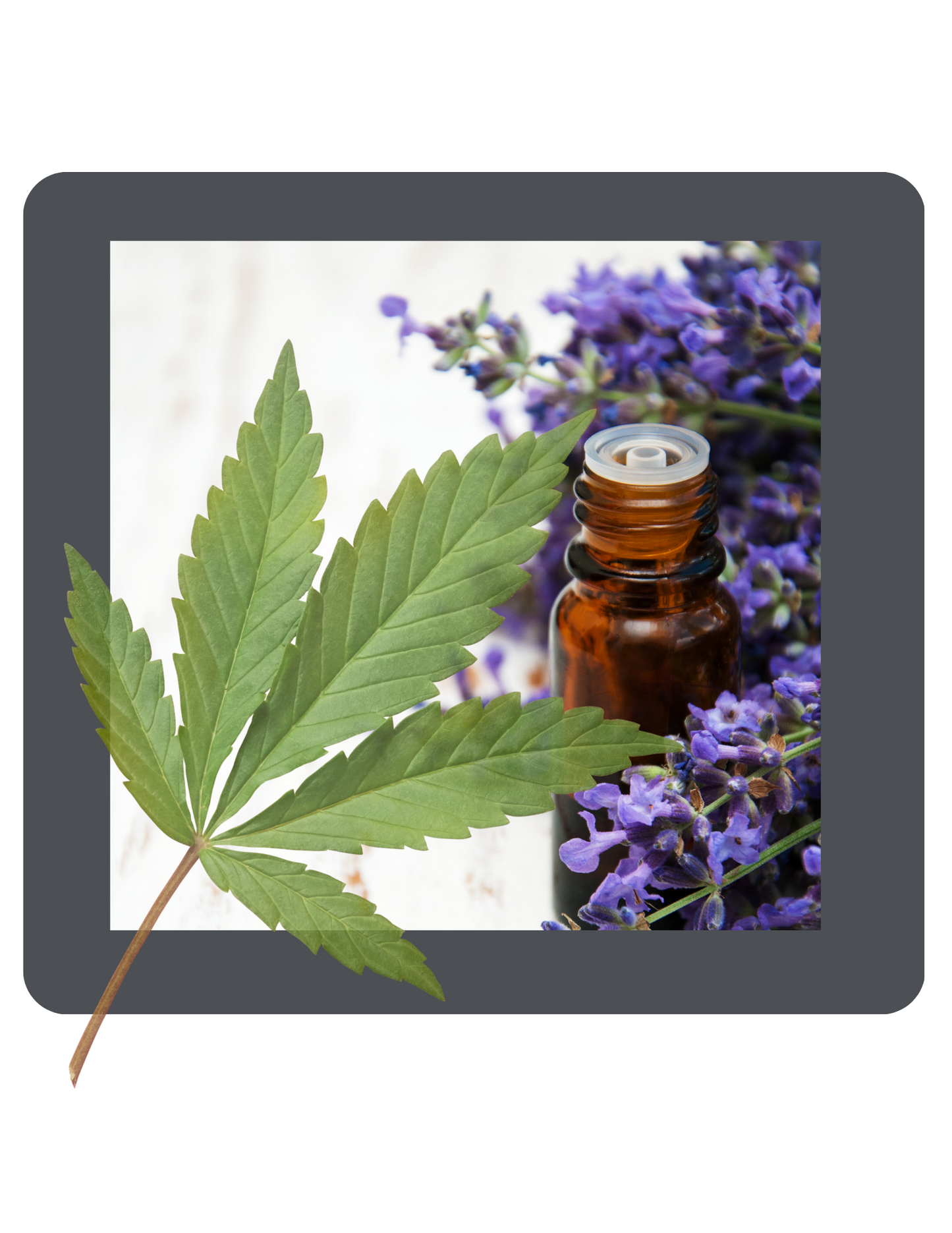 Lavender and Hemp Oil